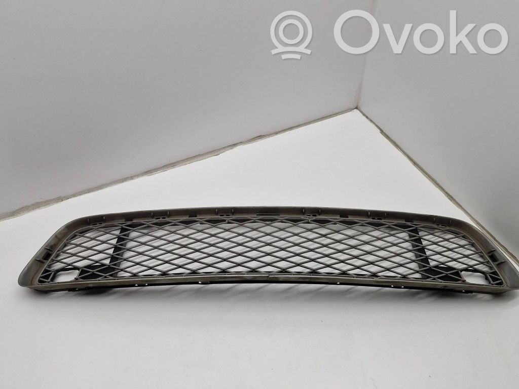 BMW X5 E70 Front bumper lower grill 