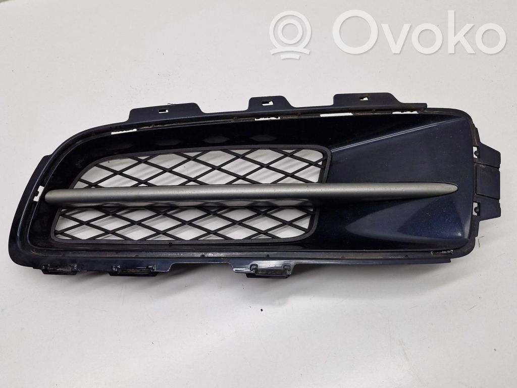 BMW X5 E70 Front bumper lower grill 