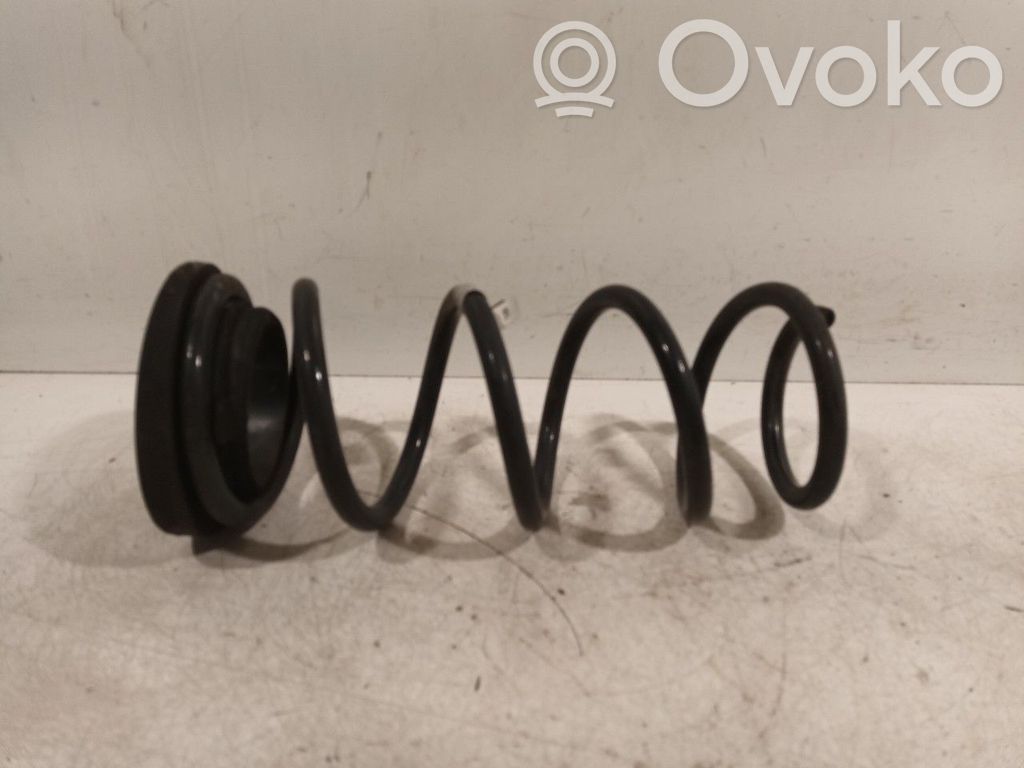 Rear coil spring