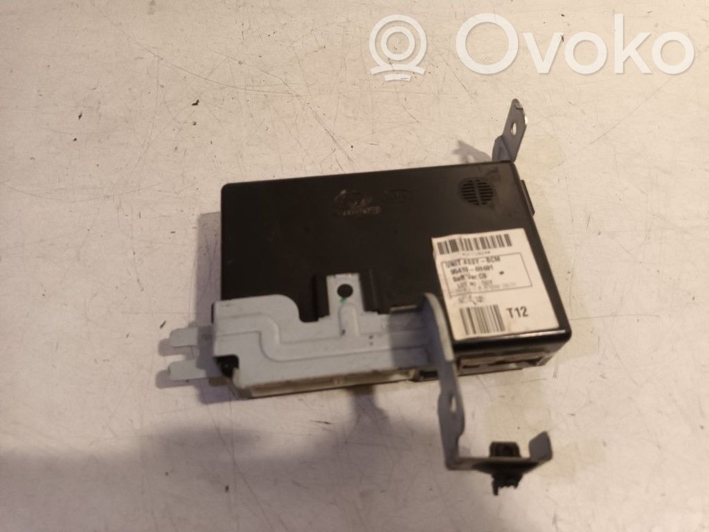 Hyundai H-1, Starex, Satellite Module de contrôle carrosserie centrale 