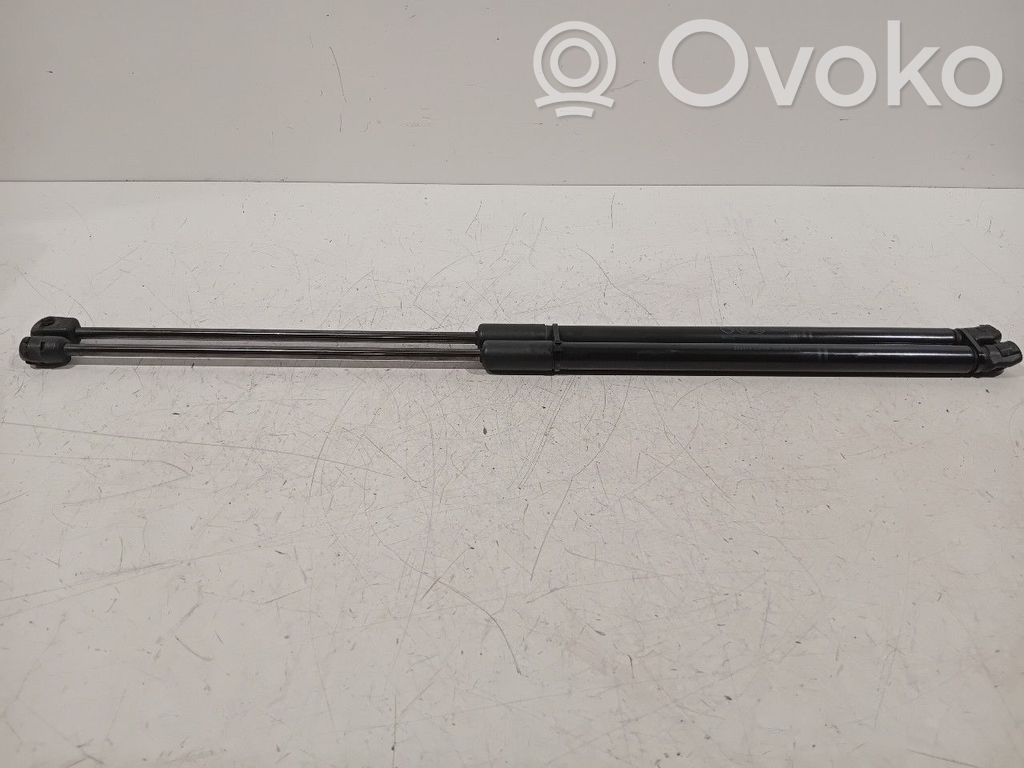 Tailgate/trunk strut/damper   13428038