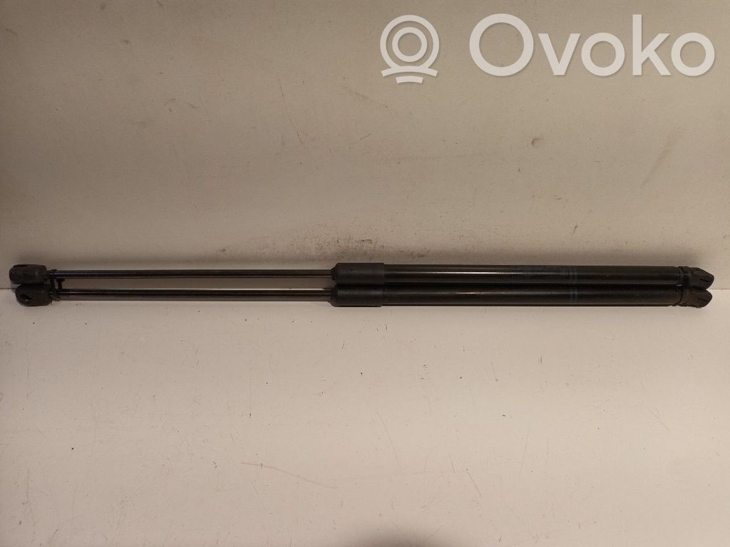 Tailgate/trunk strut/damper   315005777