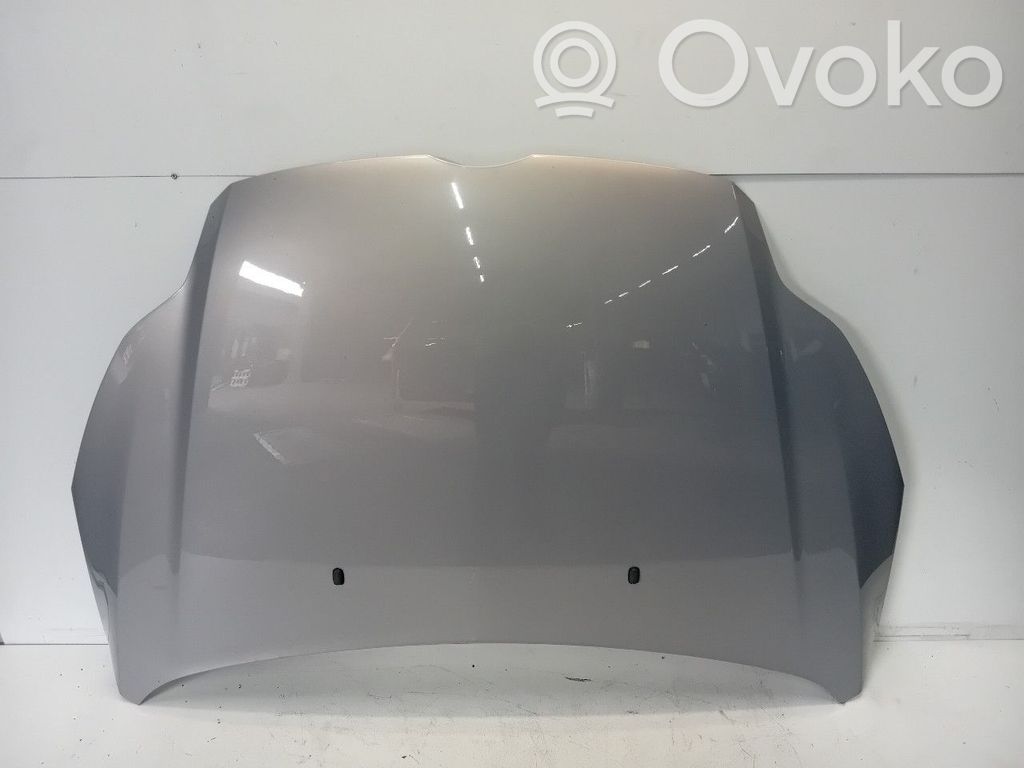 Motorhaube