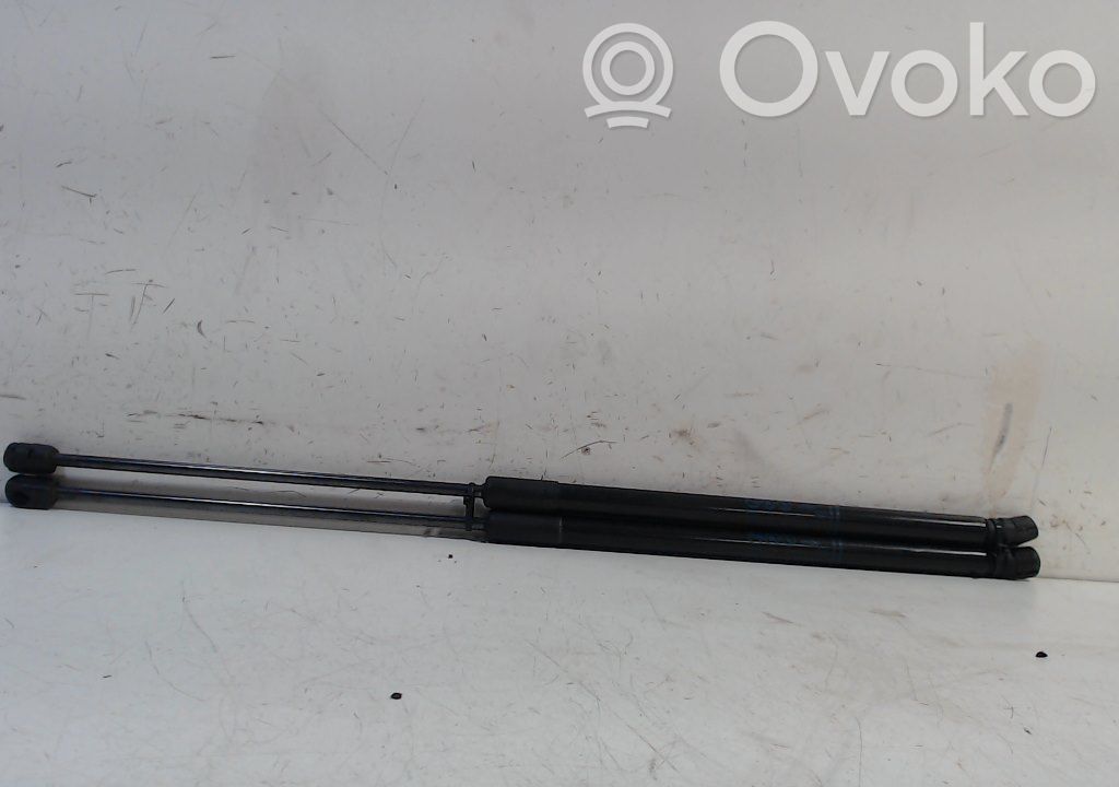 Tailgate/trunk strut/damper