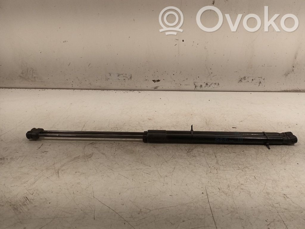 Tailgate/trunk strut/damper   13428038