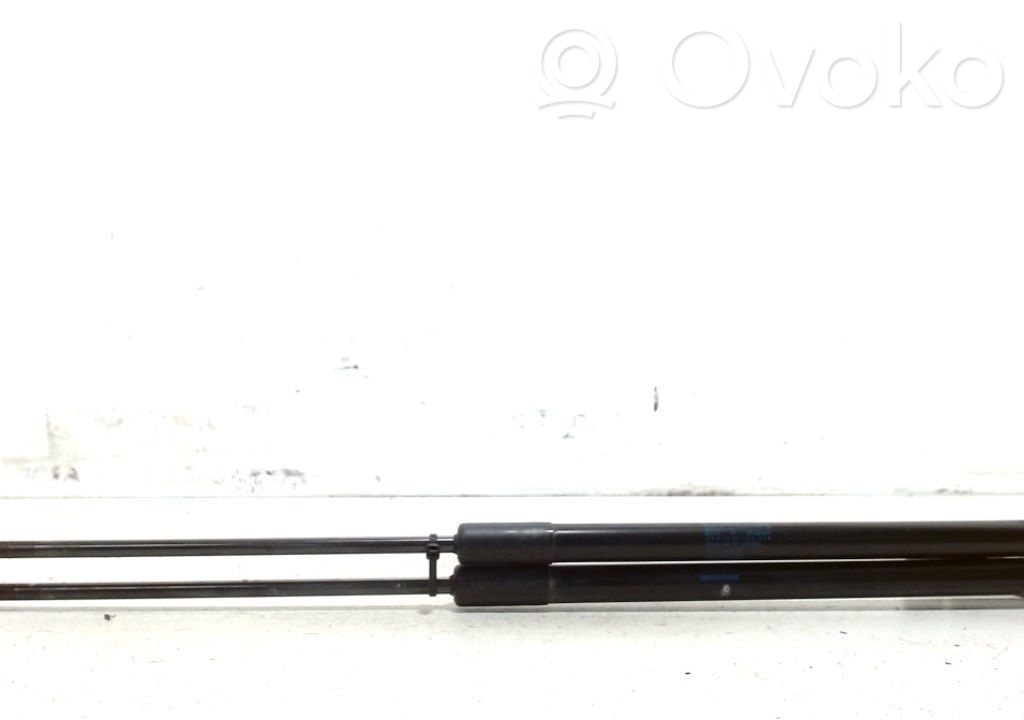 Citroen C4 Cactus Tailgate/trunk strut/damper 
