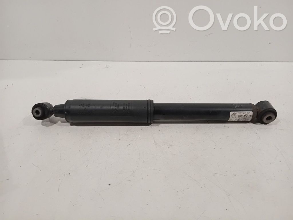 Citroen C3 Stoßdämpfer hinten 