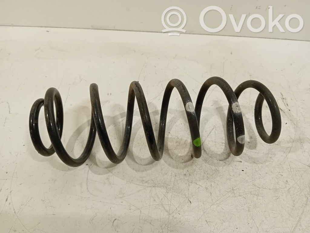 Muelle espiral trasero