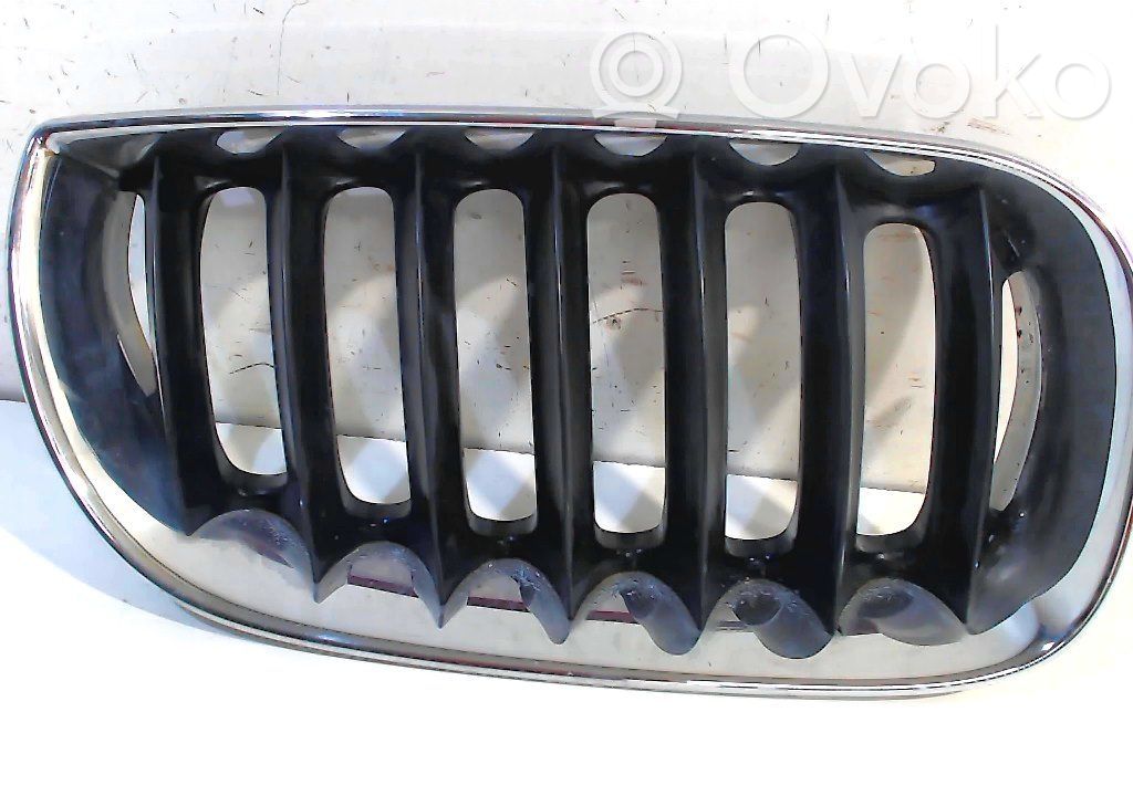 BMW X3 E83 Front grill 