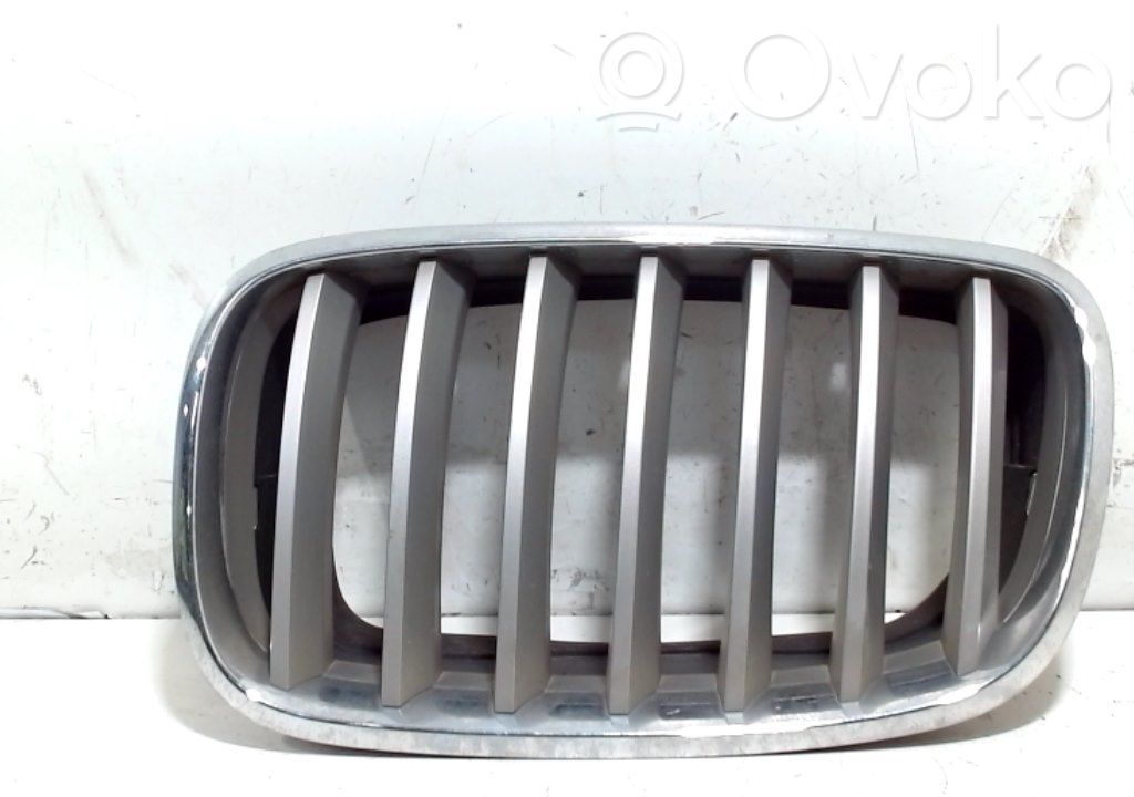 Front grill   51137171396