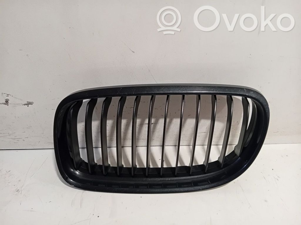 Kühlergrill   7201967