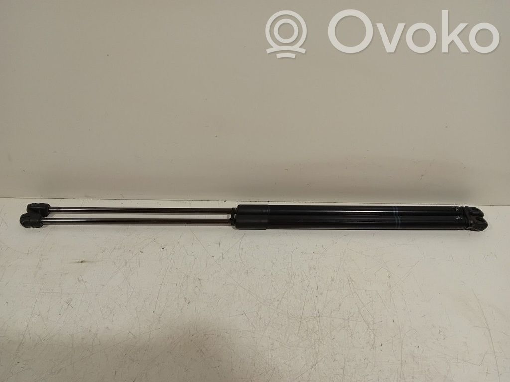 Tailgate/trunk strut/damper   13428038