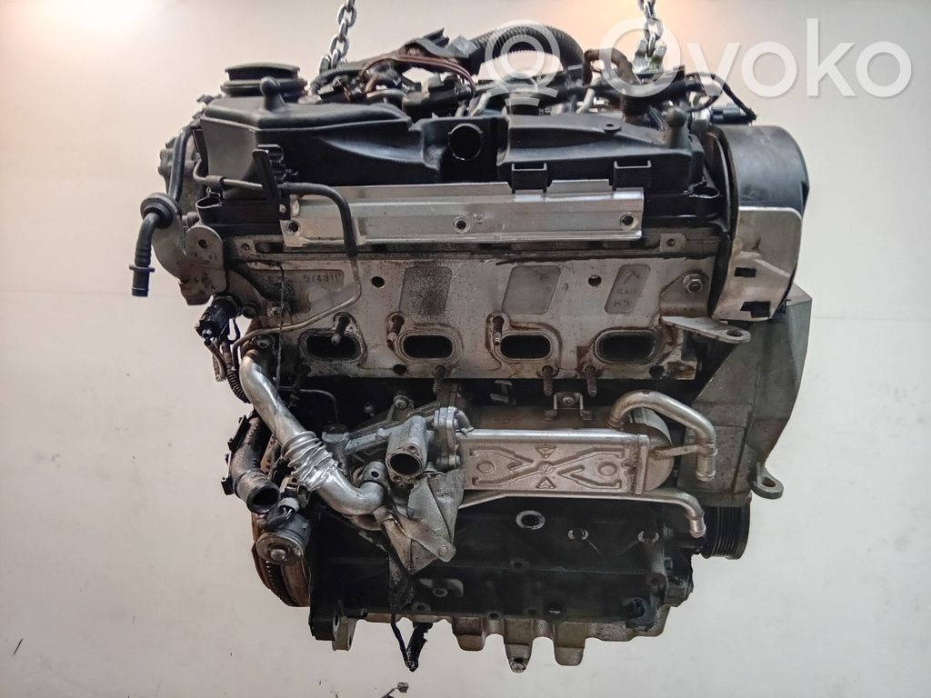 Volkswagen Polo V 6R Motore