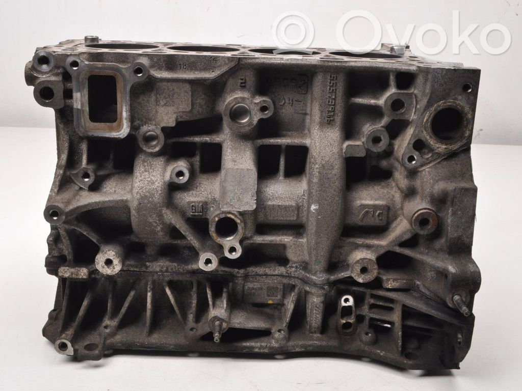 Engine block   55573916