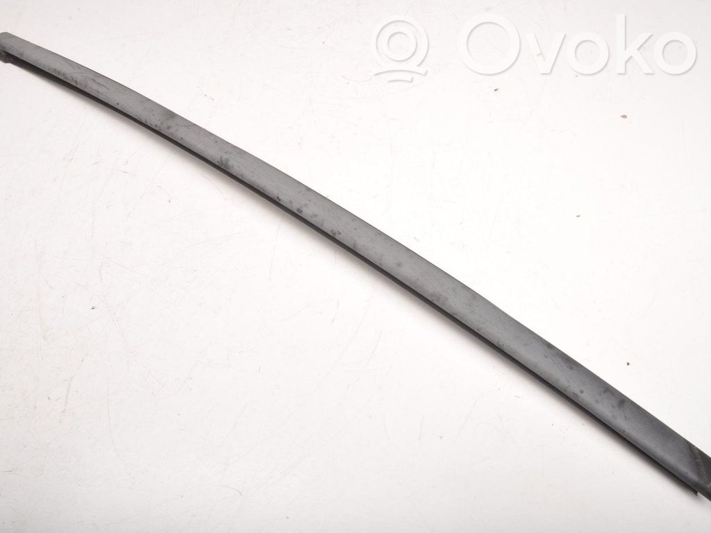 Windshield trim   30753552
