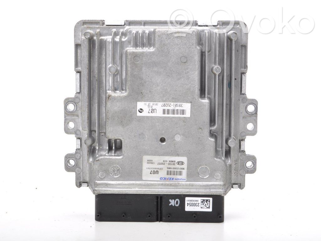 Galios (ECU) modulis   391002U207,9001230016KL