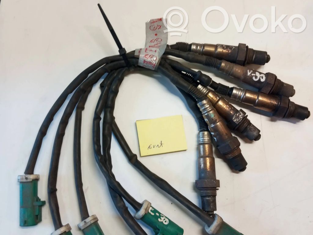Ford Focus Lambda probe sensor 