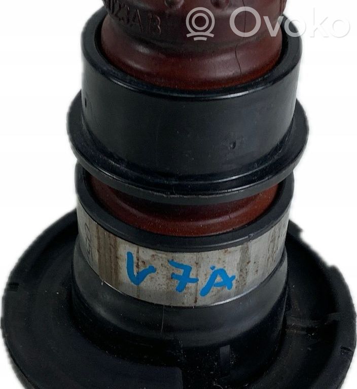 Chrysler Pacifica Feder hinten 