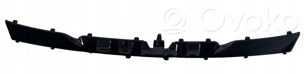 Front grill   10E853985