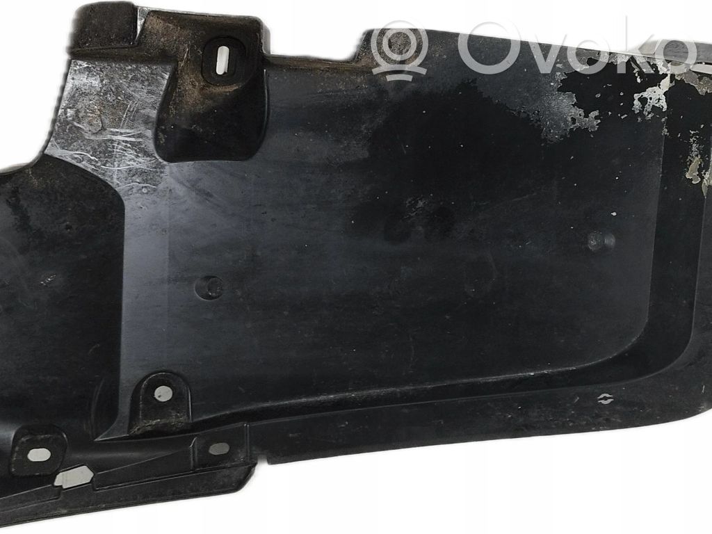 Posparnis galinis   D43N50341