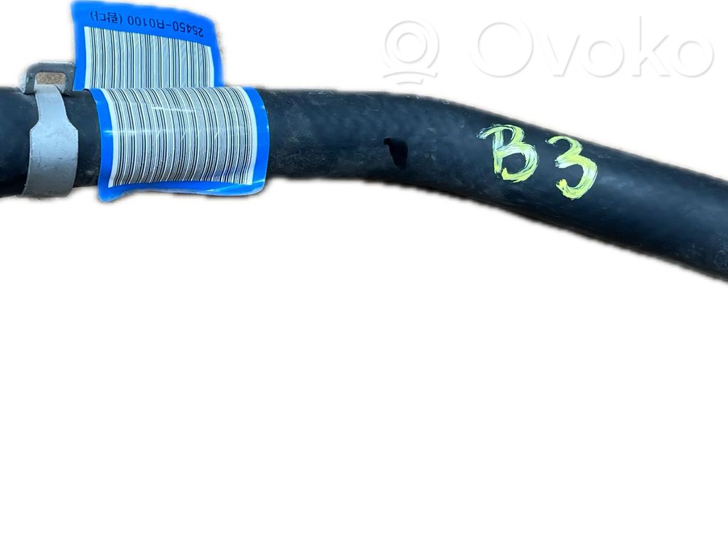 Engine coolant pipe/hose   25450R0100