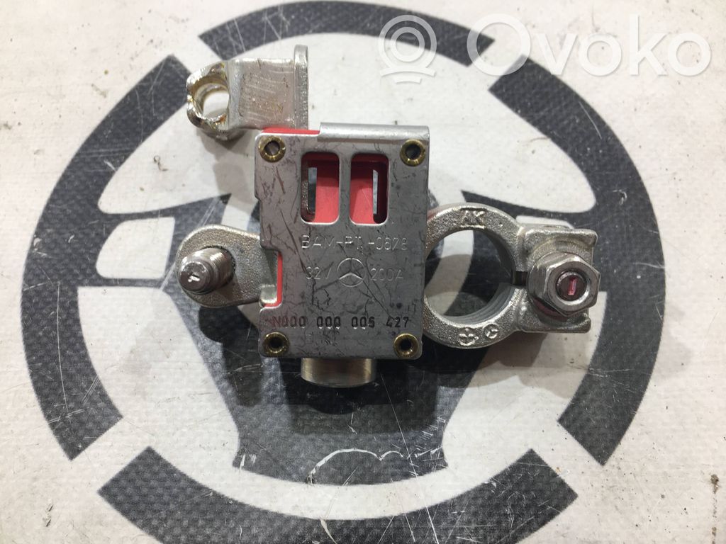 Mercedes-Benz CLA C117 X117 W117 Positive cable (battery) 