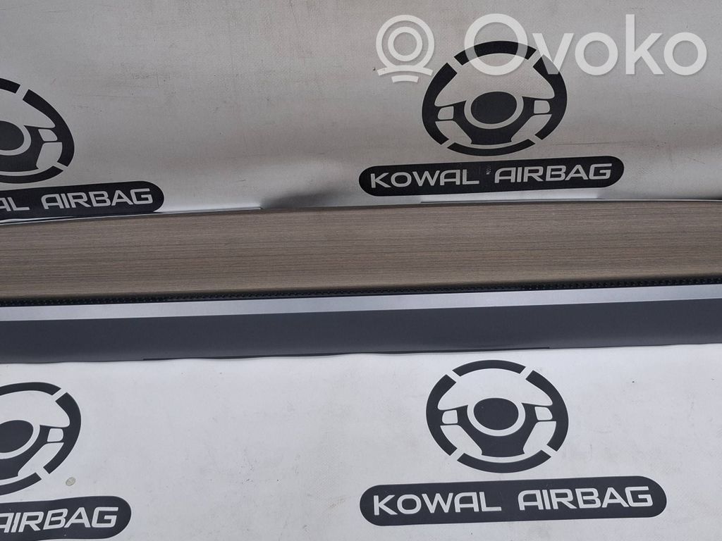 Tesla Model 3 Panel trim 