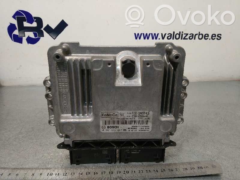 Ford Fiesta Engine control unit/module 