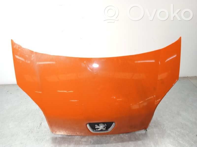 Peugeot Bipper Capotă motor 