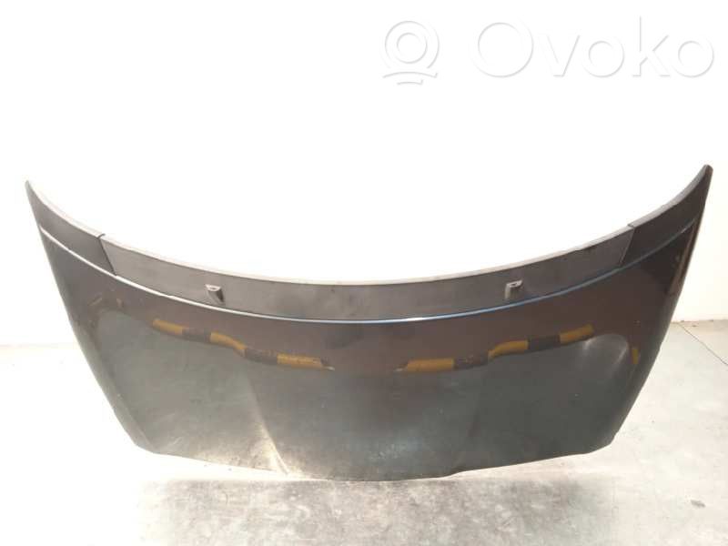 Capotă motor   7901R2