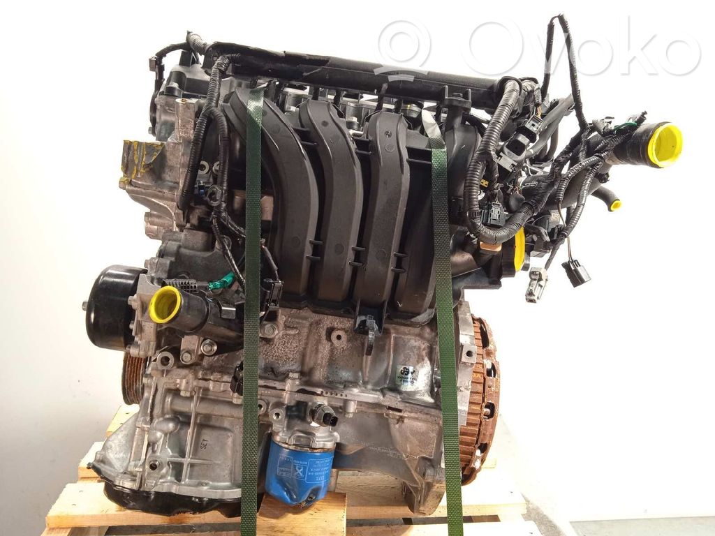 Variklis   G4LF