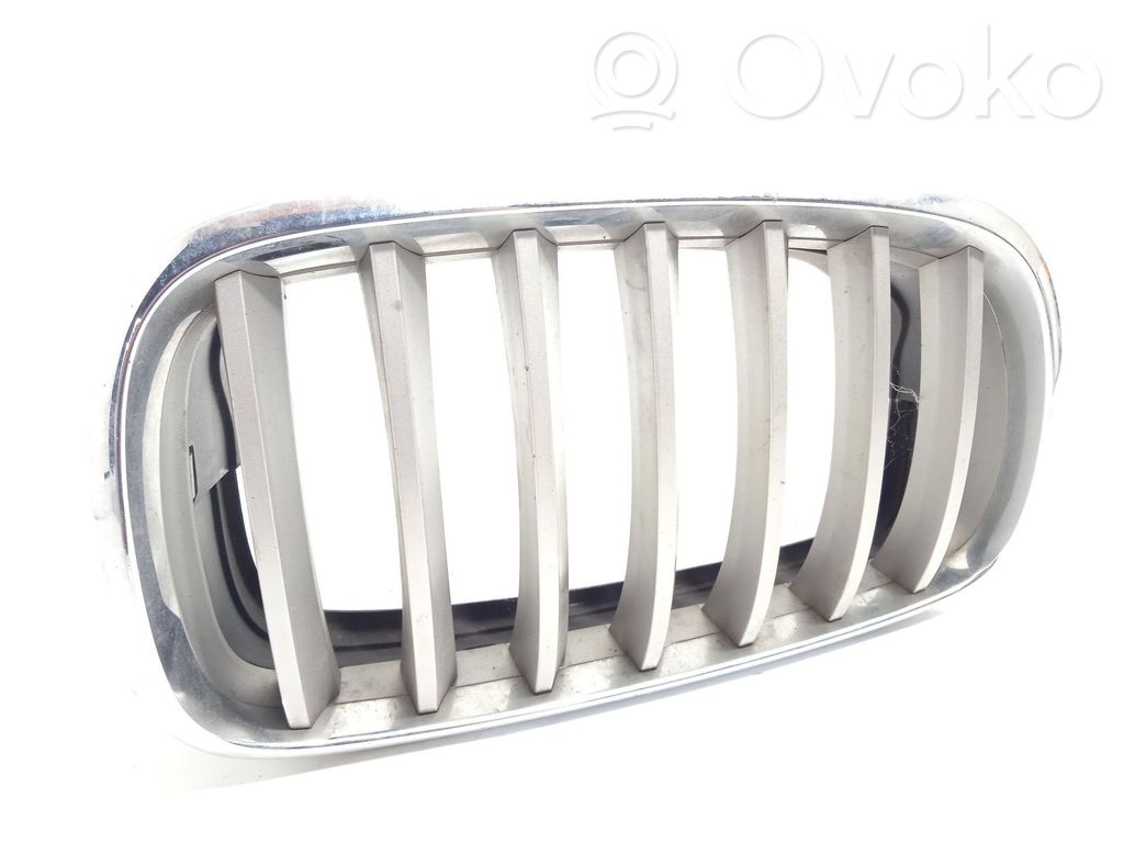 BMW X6 E71 Front grill 