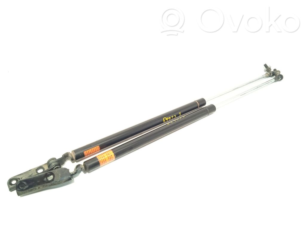 Subaru Legacy Tailgate/trunk strut/damper 