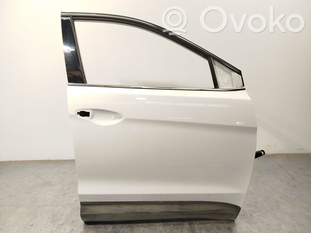 Hyundai Santa Fe Puerta delantera 
