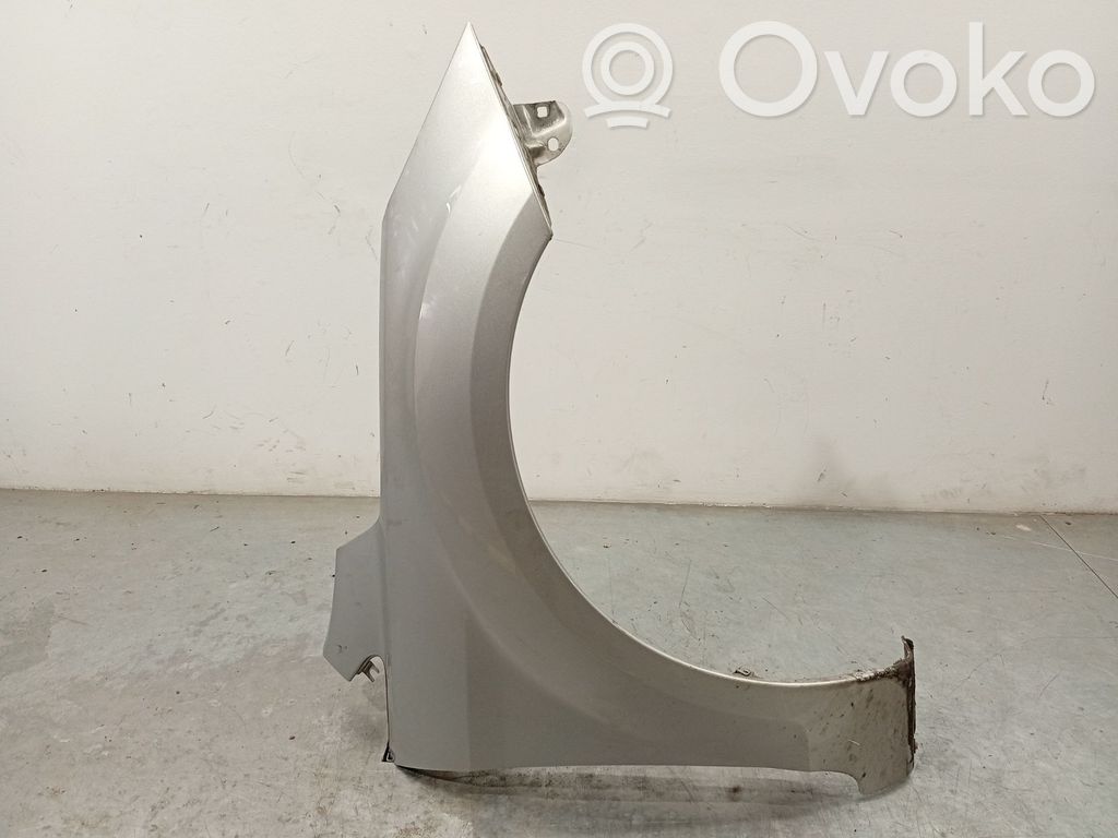 Ford Focus Fender 