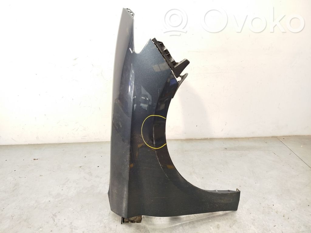 Cupra Leon Fender 