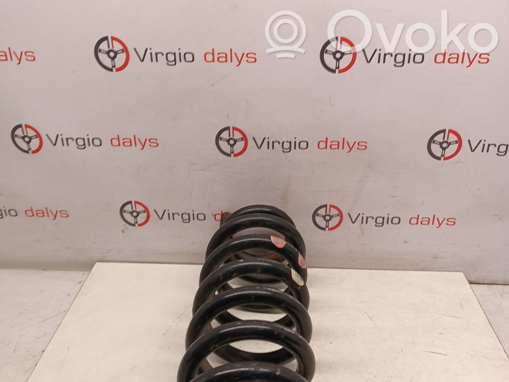 Rear coil spring