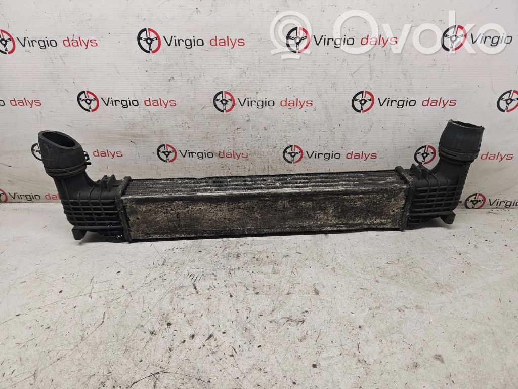 Intercooler radiator   0823856,132002748