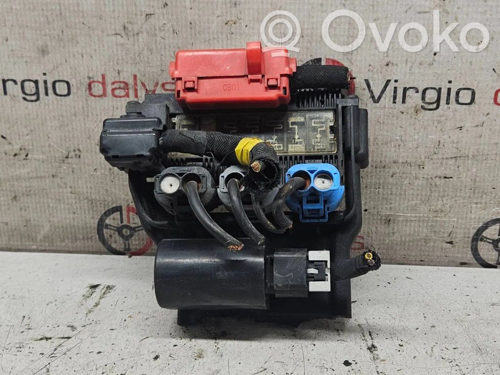 Peugeot 407 Positive wiring loom 