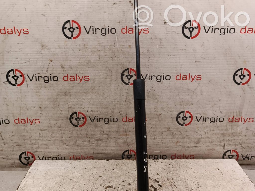 Citroen C3 Tailgate/trunk strut/damper 