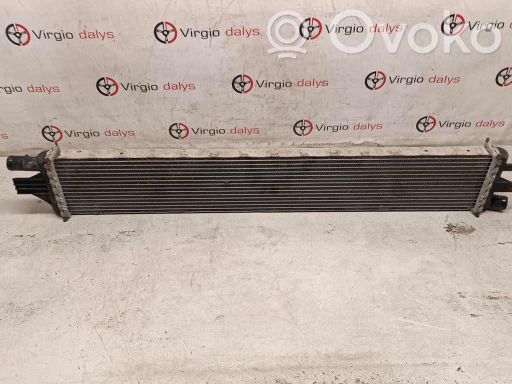 Renault Master III Aušinimo skysčio radiatorius 