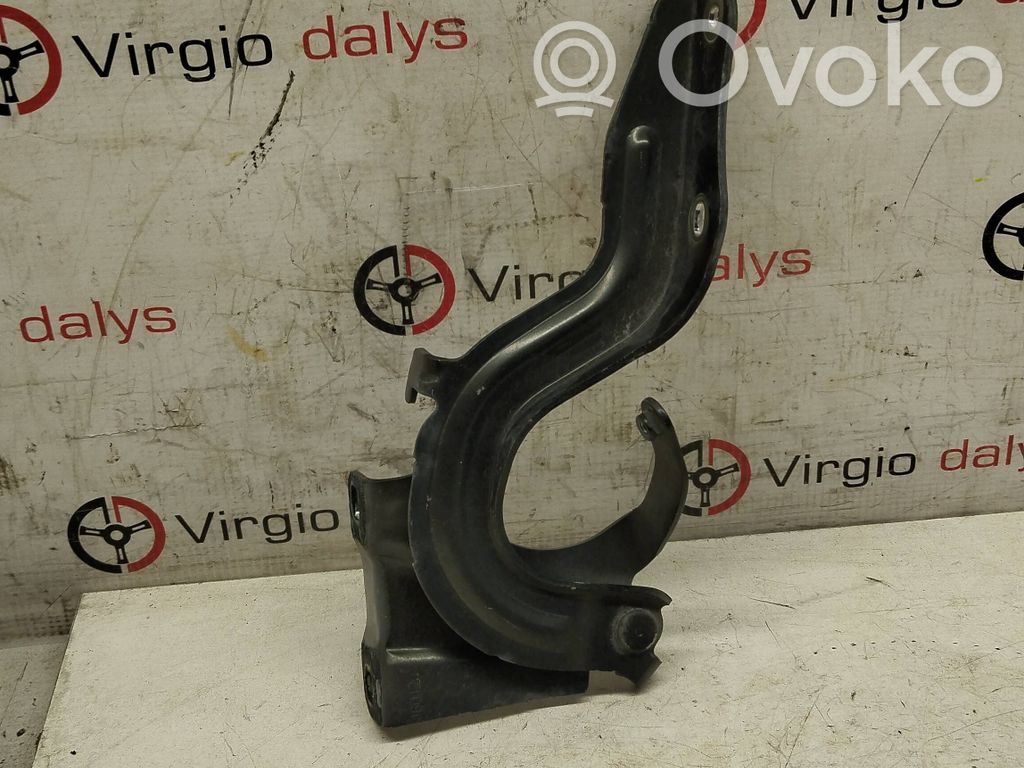 Nissan X-Trail T32 Vyris (-iai) variklio dangčio 