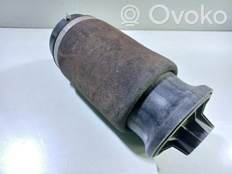Front coil spring   A1663200325