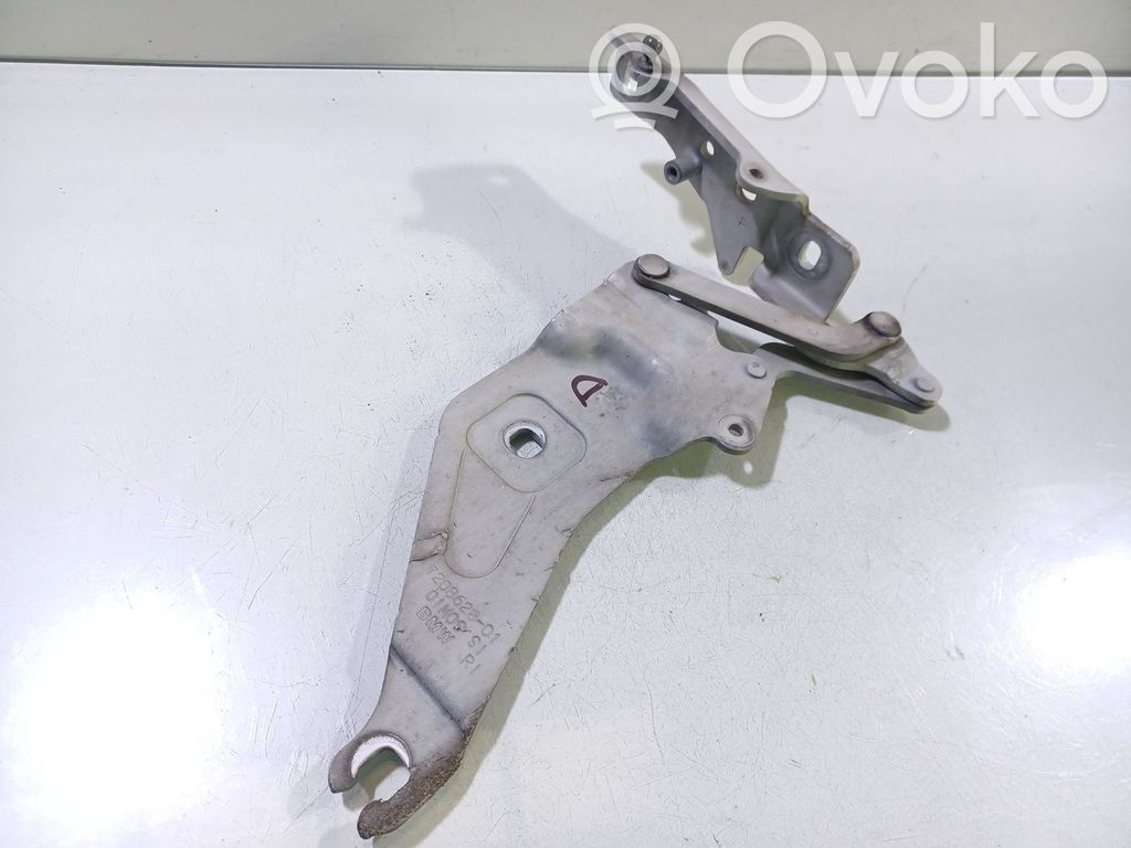 BMW X5 E70 Cerniere del vano motore/cofano