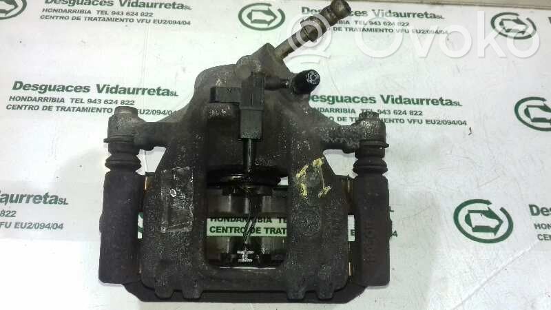 Bremssattel hinten