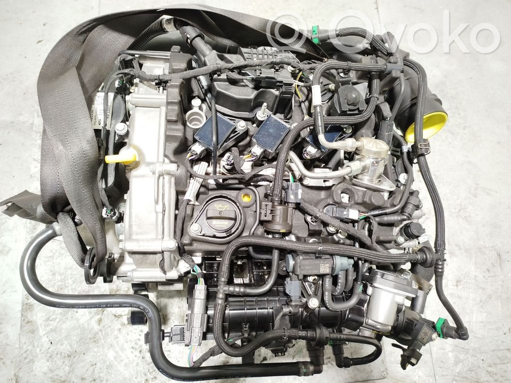 Ford Focus Motor 