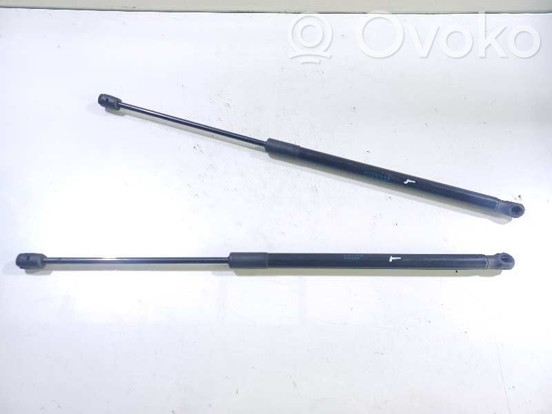 Tailgate/trunk strut/damper   51247127875