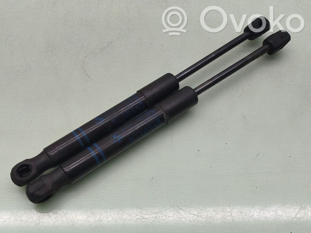 BMW 1 F20 F21 Ammortizzatore portellone anteriore/cofano 