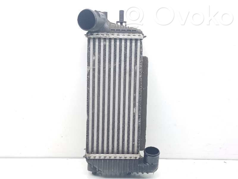 Radiador intercooler   2027395,BV619L440CJ
