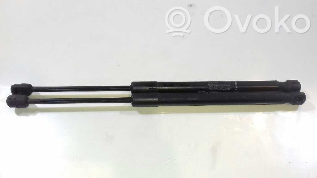 Tailgate/trunk strut/damper   904520004R